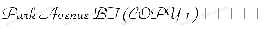 Park Avenue BT (COPY 1)字体转换